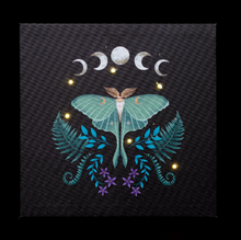 Load image into Gallery viewer, Luna Moth Light Up Canvas
