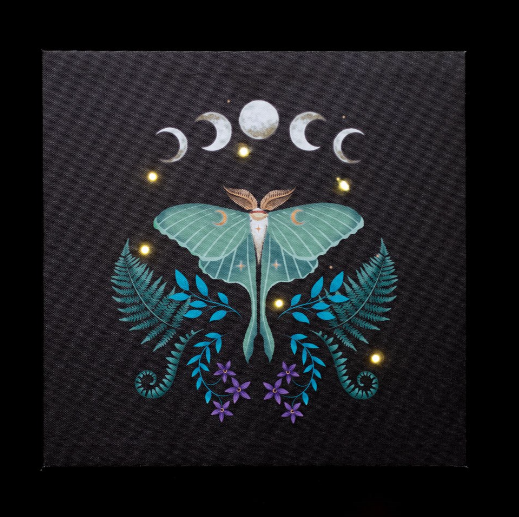 Luna Moth Light Up Canvas