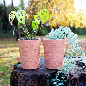 Green Goddess Terracotta Plant Pot
